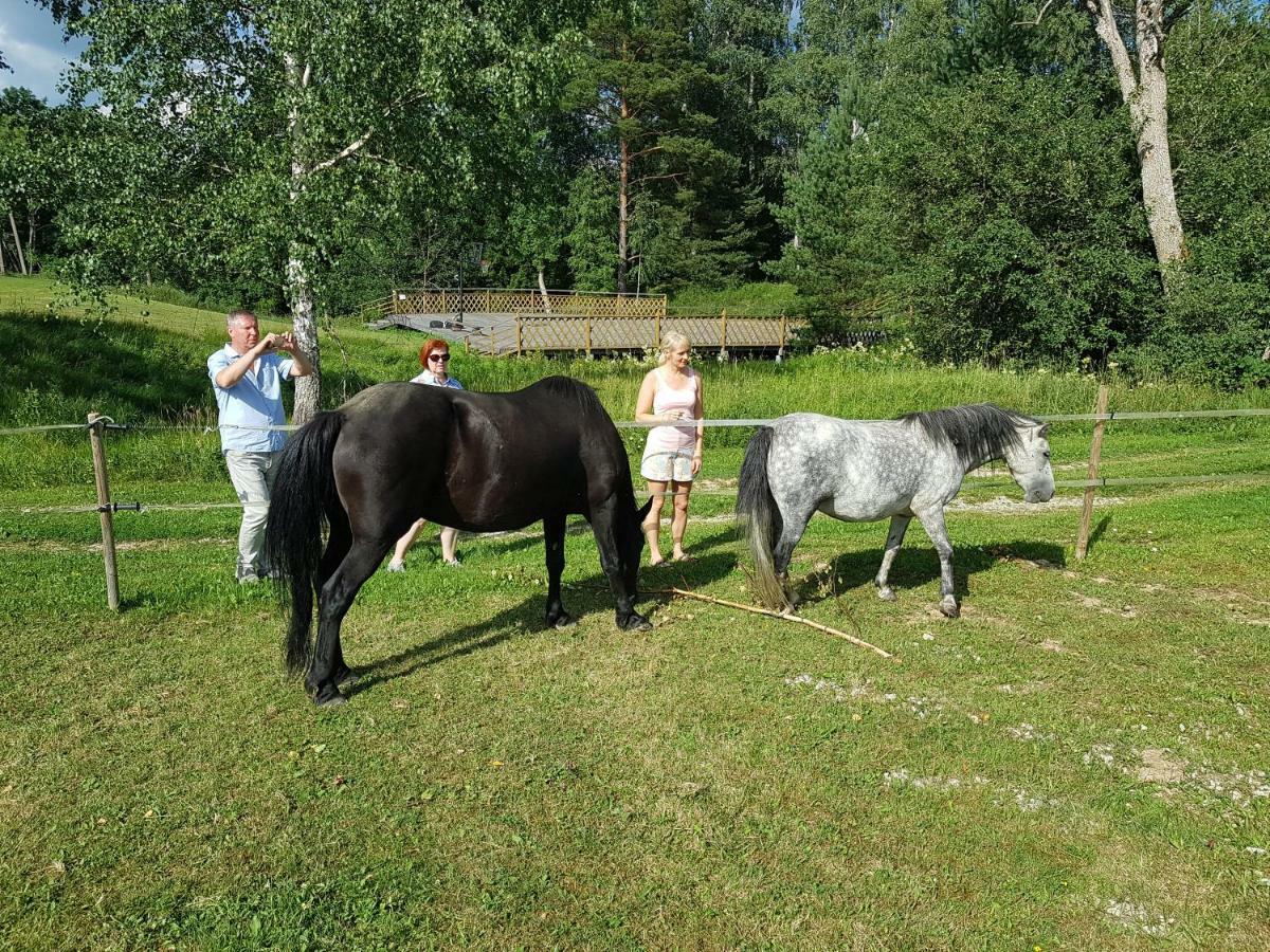 Soomaa Water Camp Hotell Jõesuu Exteriör bild